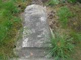 image of grave number 460267